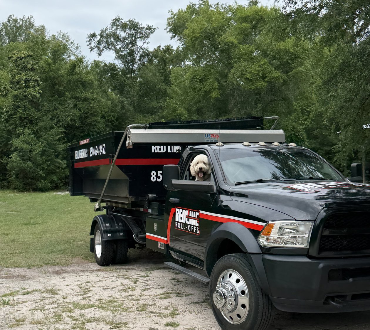 Red Line Roll-Offs truck hauling a loaded dump trailer with a dog looking out the window